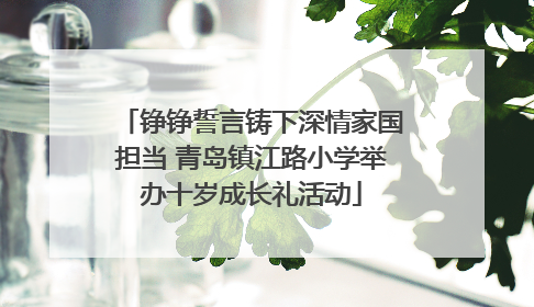 铮铮誓言铸下深情家国担当 青岛镇江路小学举办十岁成长礼活动